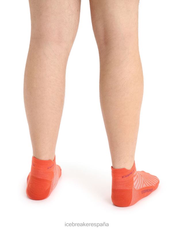 Icebreaker hombres calcetines merino run+ micro ultraligeros 0V2J0266 accesorios vibrante tierra brezo/go berry