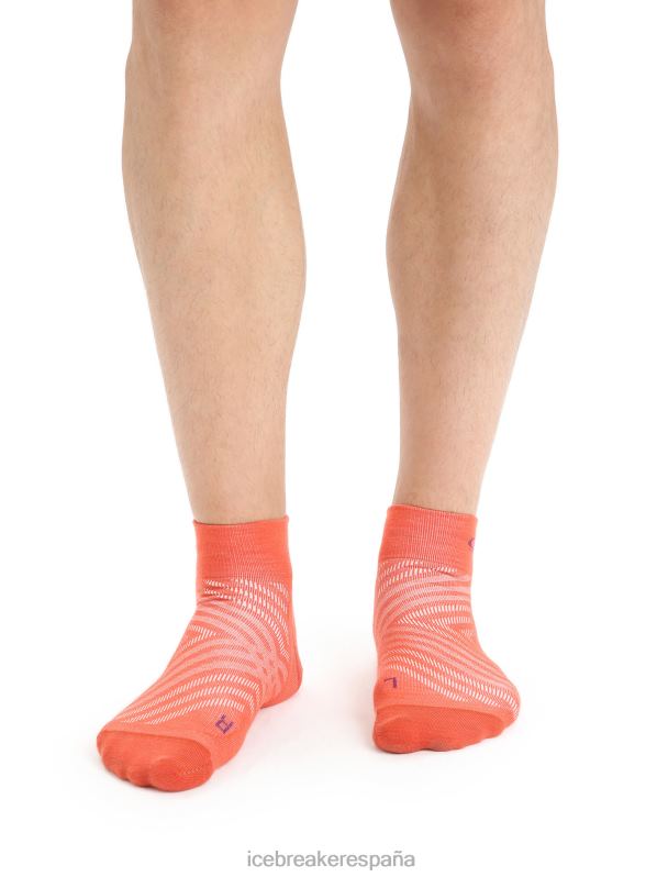 vibrante tierra brezo/go berry