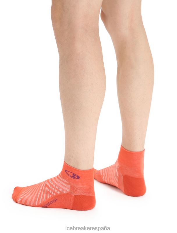 Icebreaker hombres calcetines merino run+ mini ultraligeros 0V2J0278 accesorios vibrante tierra brezo/go berry