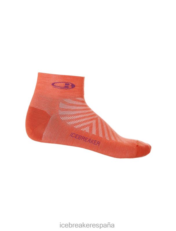 Icebreaker hombres calcetines merino run+ mini ultraligeros 0V2J0278 accesorios vibrante tierra brezo/go berry