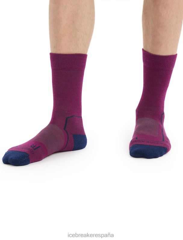 Icebreaker hombres calcetines merino walk+ ligeros 0V2J0275 accesorios ir baya/azul marino real