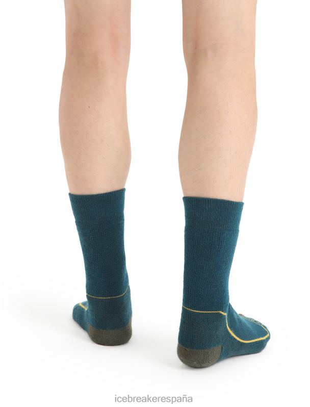 Icebreaker hombres calcetines merino walk+ medianos 0V2J0261 accesorios gloria verde/loden