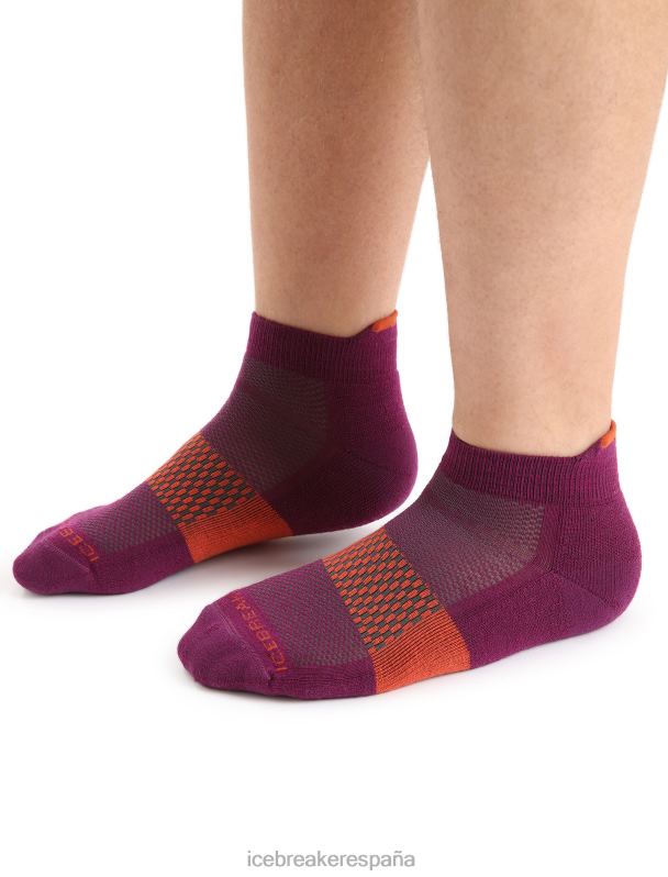 Icebreaker hombres calcetines micro ligeros multisport merino 0V2J0281 accesorios ir baya/tierra vibrante