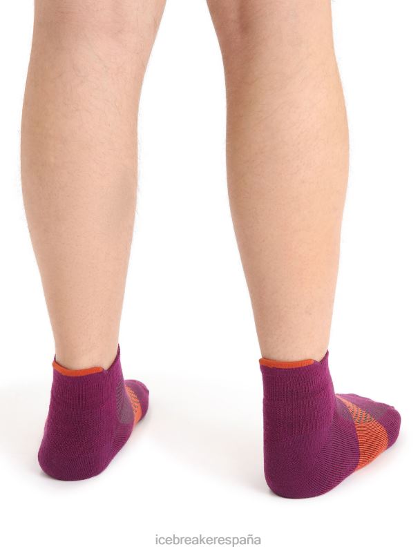 Icebreaker hombres calcetines micro ligeros multisport merino 0V2J0281 accesorios ir baya/tierra vibrante