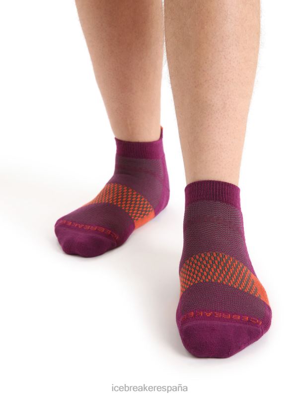 Icebreaker hombres calcetines micro ligeros multisport merino 0V2J0281 accesorios ir baya/tierra vibrante