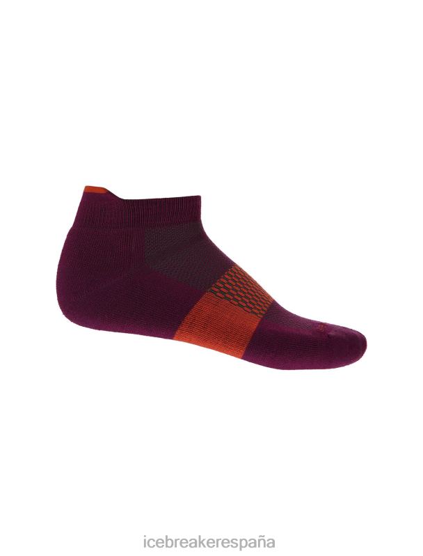 Icebreaker hombres calcetines micro ligeros multisport merino 0V2J0281 accesorios ir baya/tierra vibrante