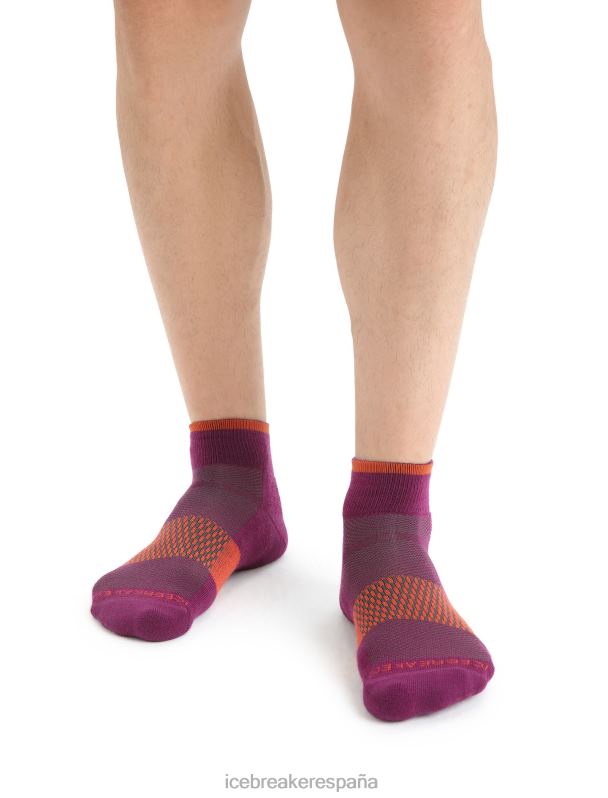 Icebreaker hombres calcetines mini merino multisport light 0V2J0292 accesorios ir baya/tierra vibrante