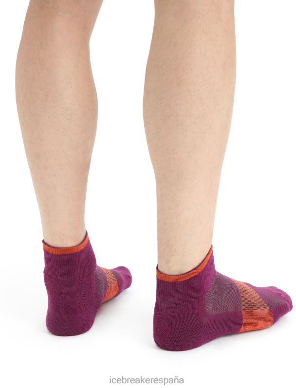 Icebreaker hombres calcetines mini merino multisport light 0V2J0292 accesorios ir baya/tierra vibrante