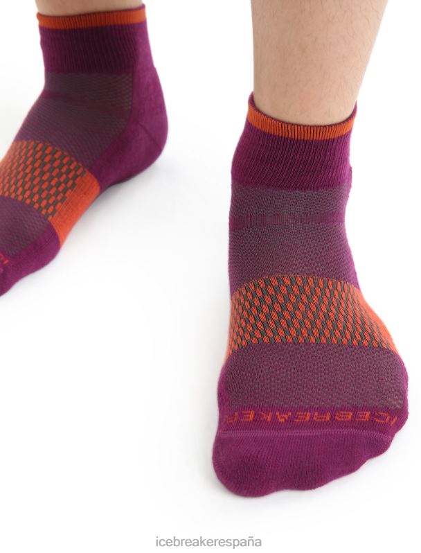 Icebreaker hombres calcetines mini merino multisport light 0V2J0292 accesorios ir baya/tierra vibrante