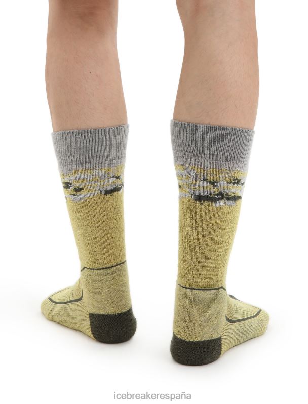 Icebreaker hombres merino walk+ calcetines medianos sedimentarios 0V2J0286 accesorios verano/loden