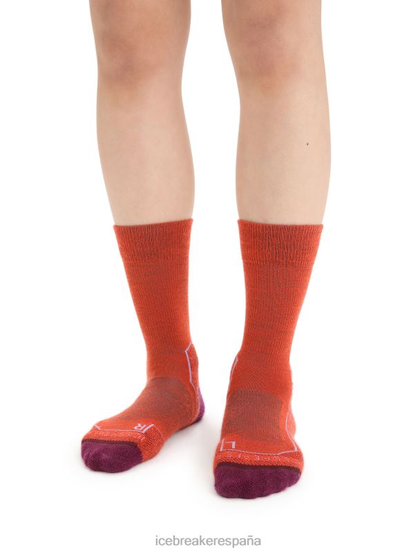 Icebreaker mujer calcetines merino walk+ ligeros 0V2J0784 accesorios vibrante tierra brezo/go berry