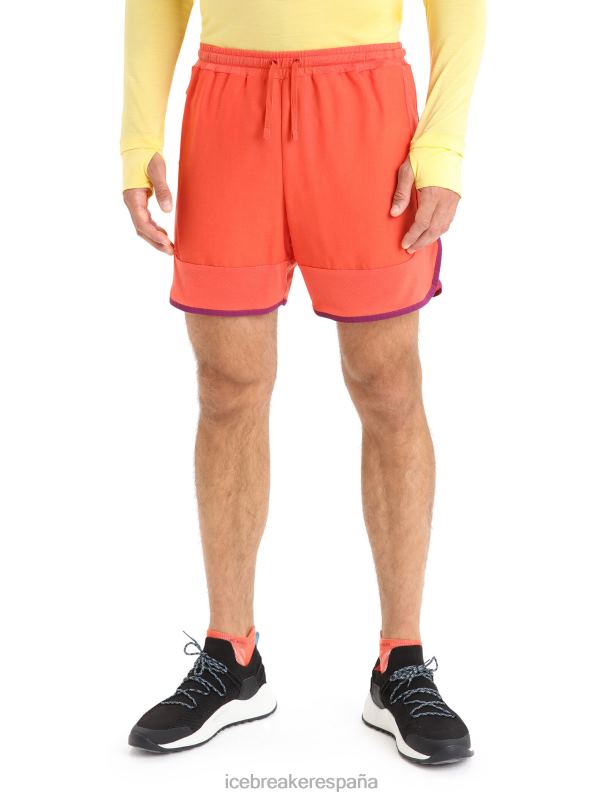 Icebreaker hombres shorts de punto de merino 0V2J0250 ropa vibrante tierra brezo/go berry