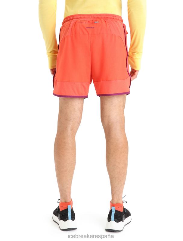 Icebreaker hombres shorts de punto de merino 0V2J0250 ropa vibrante tierra brezo/go berry