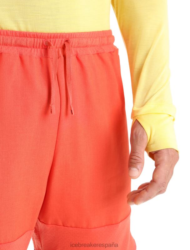 Icebreaker hombres shorts de punto de merino 0V2J0250 ropa vibrante tierra brezo/go berry
