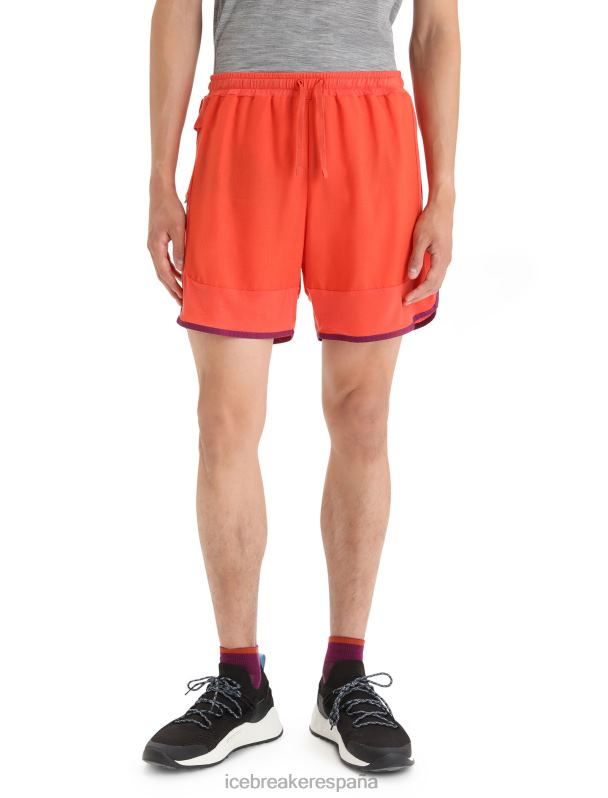 Icebreaker hombres shorts de punto de merino 0V2J0250 ropa vibrante tierra brezo/go berry