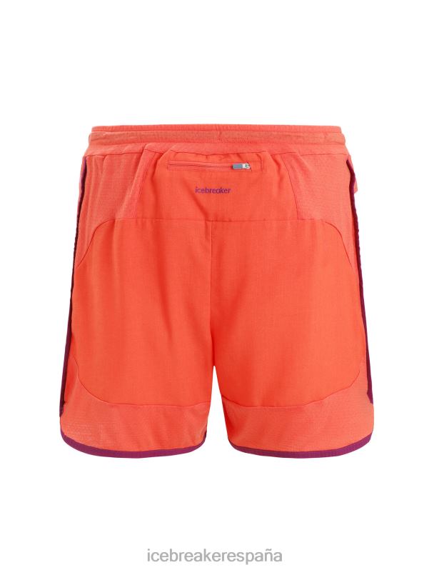 Icebreaker hombres shorts de punto de merino 0V2J0250 ropa vibrante tierra brezo/go berry