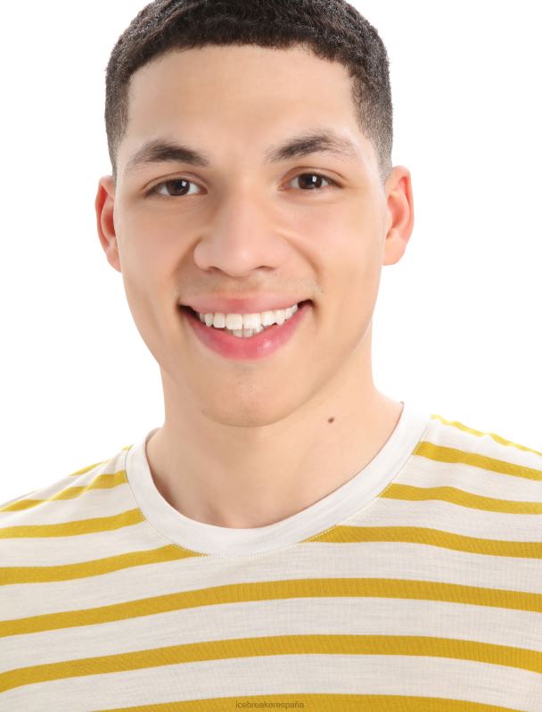 Icebreaker hombres camiseta merino drayden manga corta raya 0V2J0396 ropa crudo jaspeado/oro silencioso