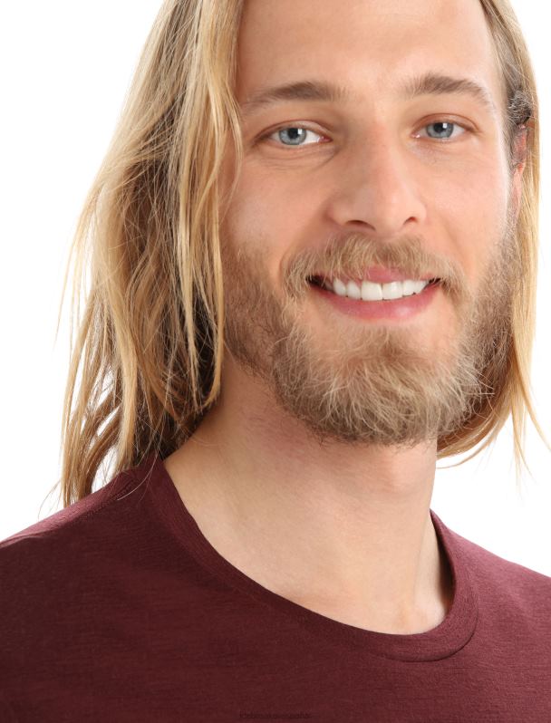 Icebreaker hombres camiseta merino tech lite ii manga corta alpes naturales 0V2J0368 ropa Café exprés