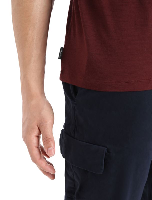 Icebreaker hombres camiseta merino tech lite ii manga corta geología de montaña 0V2J0382 ropa Café exprés