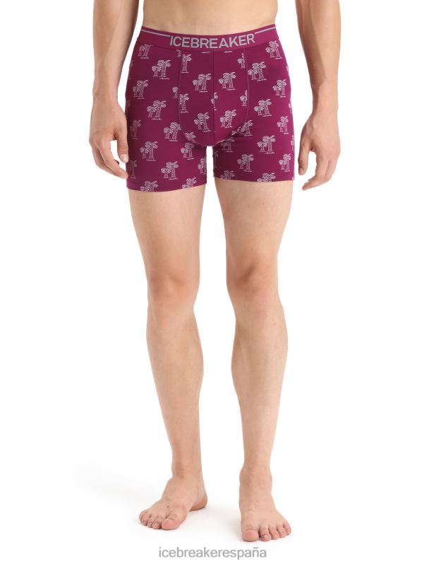 Icebreaker hombres boxers anatómicos de merino 0V2J0113 ropa ir baya