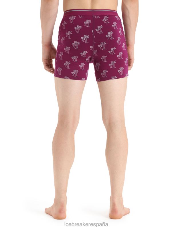 Icebreaker hombres boxers anatómicos de merino 0V2J0113 ropa ir baya