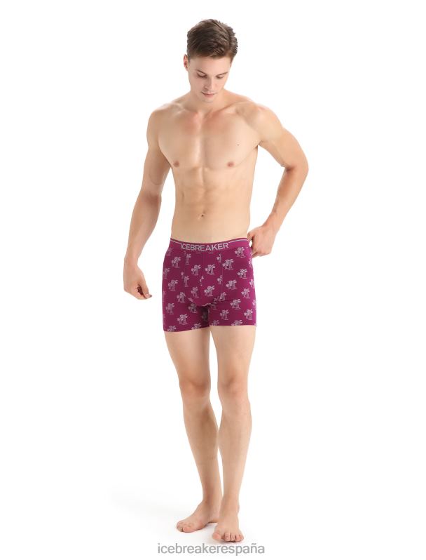 Icebreaker hombres boxers anatómicos de merino 0V2J0113 ropa ir baya