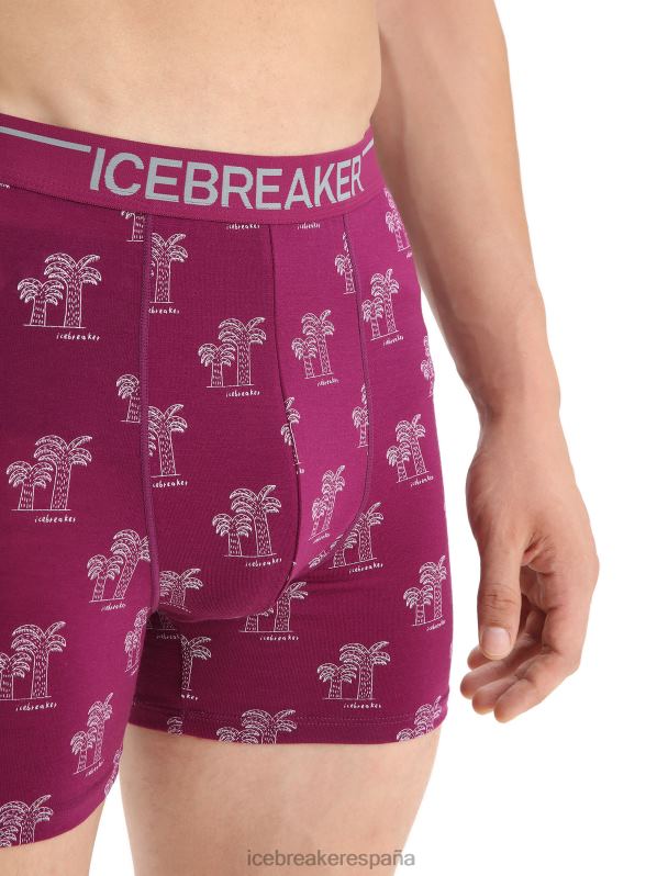 Icebreaker hombres boxers anatómicos de merino 0V2J0113 ropa ir baya