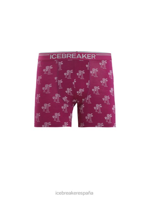 Icebreaker hombres boxers anatómicos de merino 0V2J0113 ropa ir baya