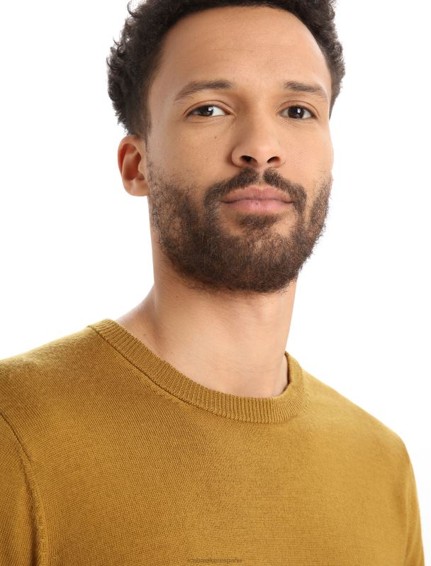 Icebreaker hombres suéter con cuello redondo de merino shearer 0V2J0352 ropa Clavo