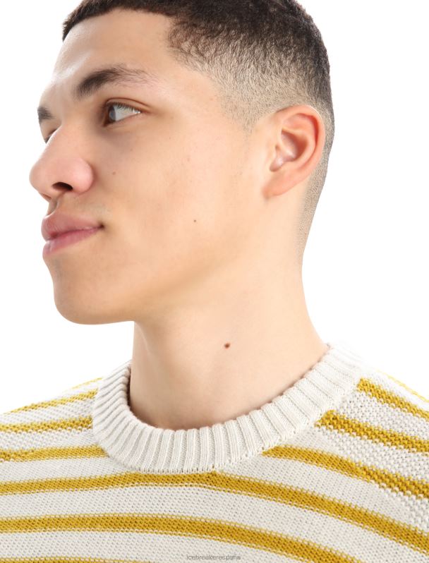 Icebreaker hombres suéter de lana merino waypoint 0V2J0391 ropa crudo jaspeado/oro silencioso