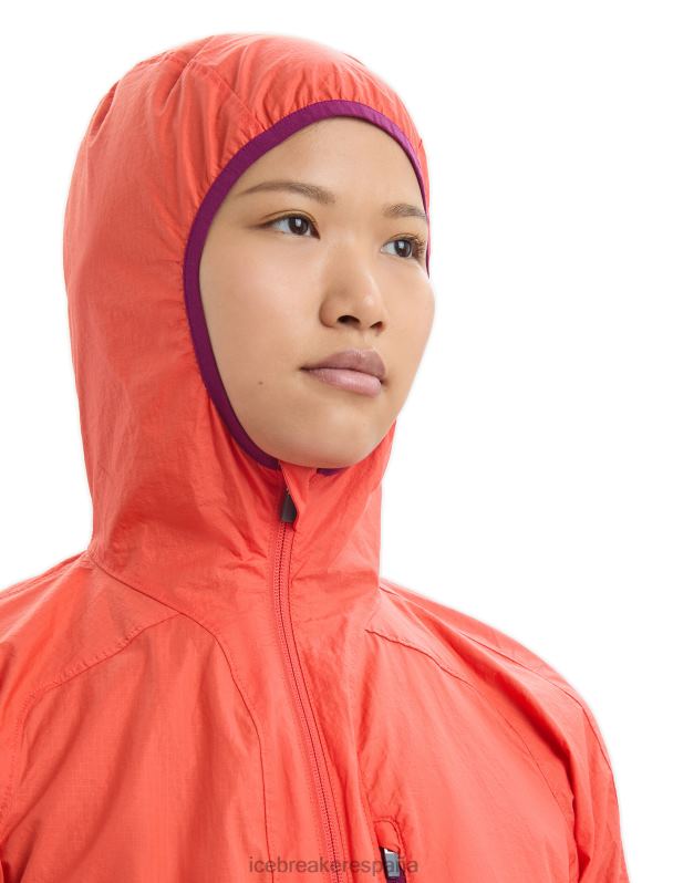 Icebreaker mujer cortavientos de algodón merino shell+ 0V2J0680 ropa mirada vibrante tierra/púrpura