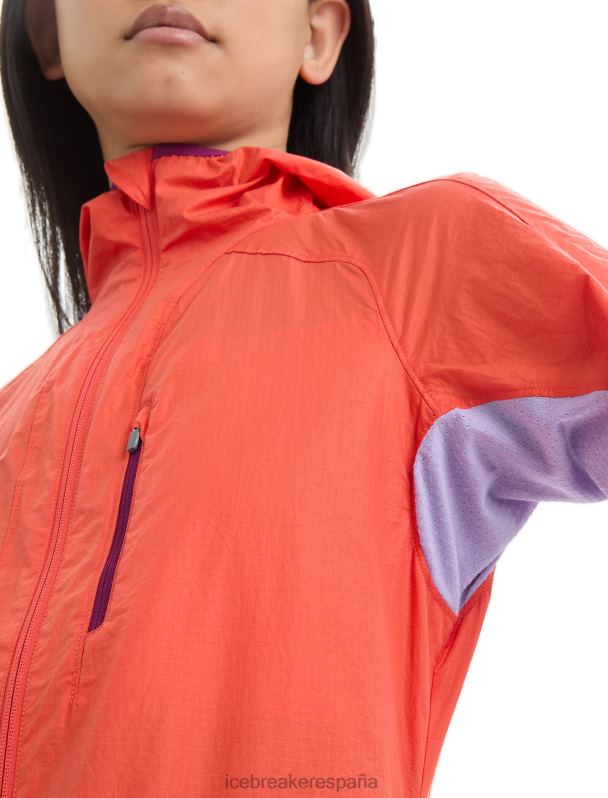 Icebreaker mujer cortavientos de algodón merino shell+ 0V2J0680 ropa mirada vibrante tierra/púrpura