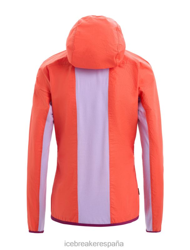 Icebreaker mujer cortavientos de algodón merino shell+ 0V2J0680 ropa mirada vibrante tierra/púrpura