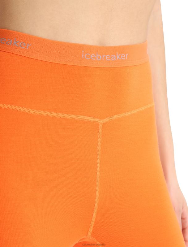 Icebreaker mujer 300 mallas térmicas merinofina 0V2J0854 ropa destello