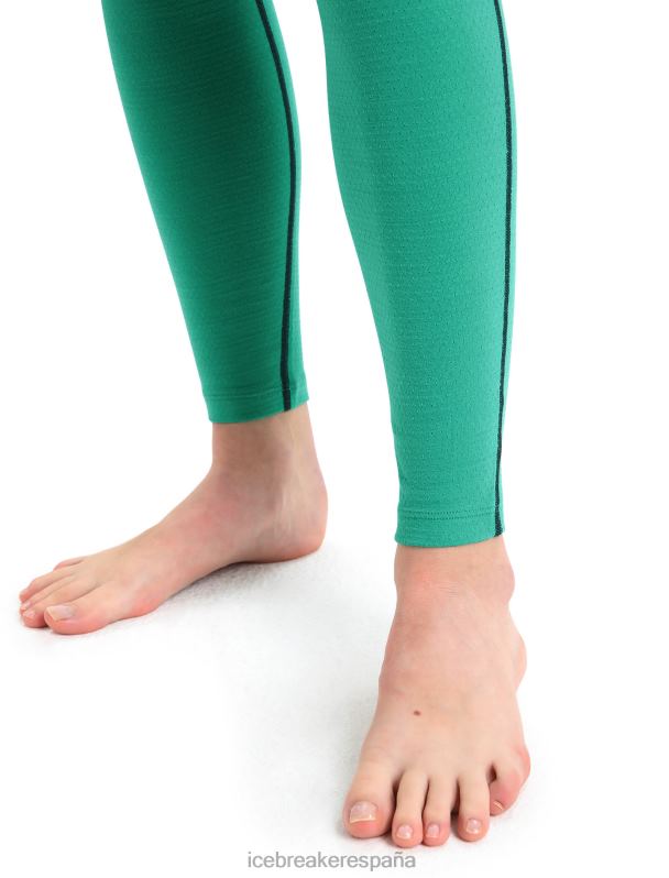 Icebreaker mujer Leggings térmicos de merino de punto 200 zonas 0V2J0583 ropa gloria verde/fresco